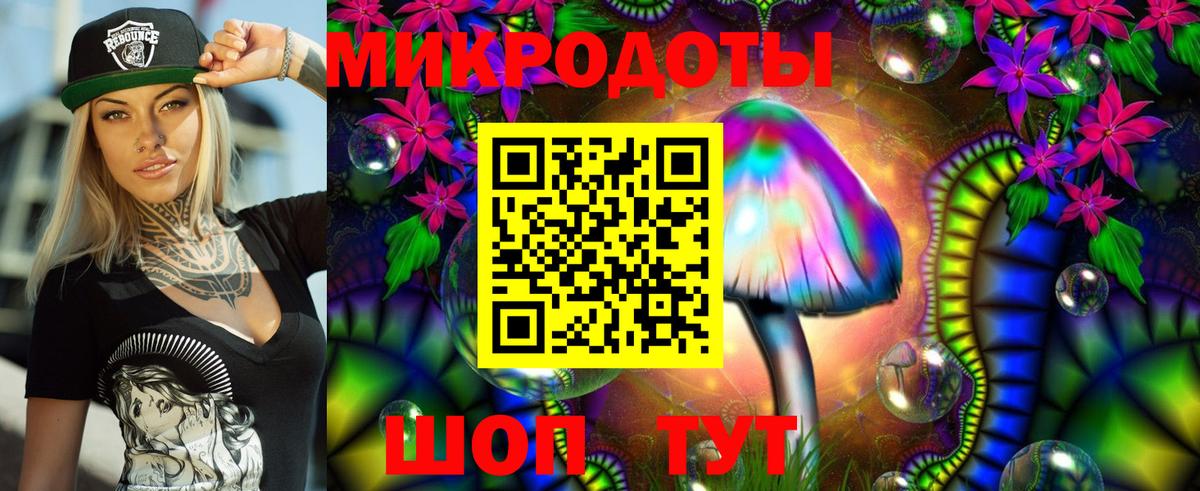 Галлюциногенные грибы прущие грибы Екатеринбург